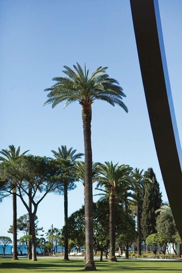 Grand H -F2, Face Vieux- Nice, Terrasse, Ascenseur, Climatisation, Terrace - Nice City Center Экстерьер фото